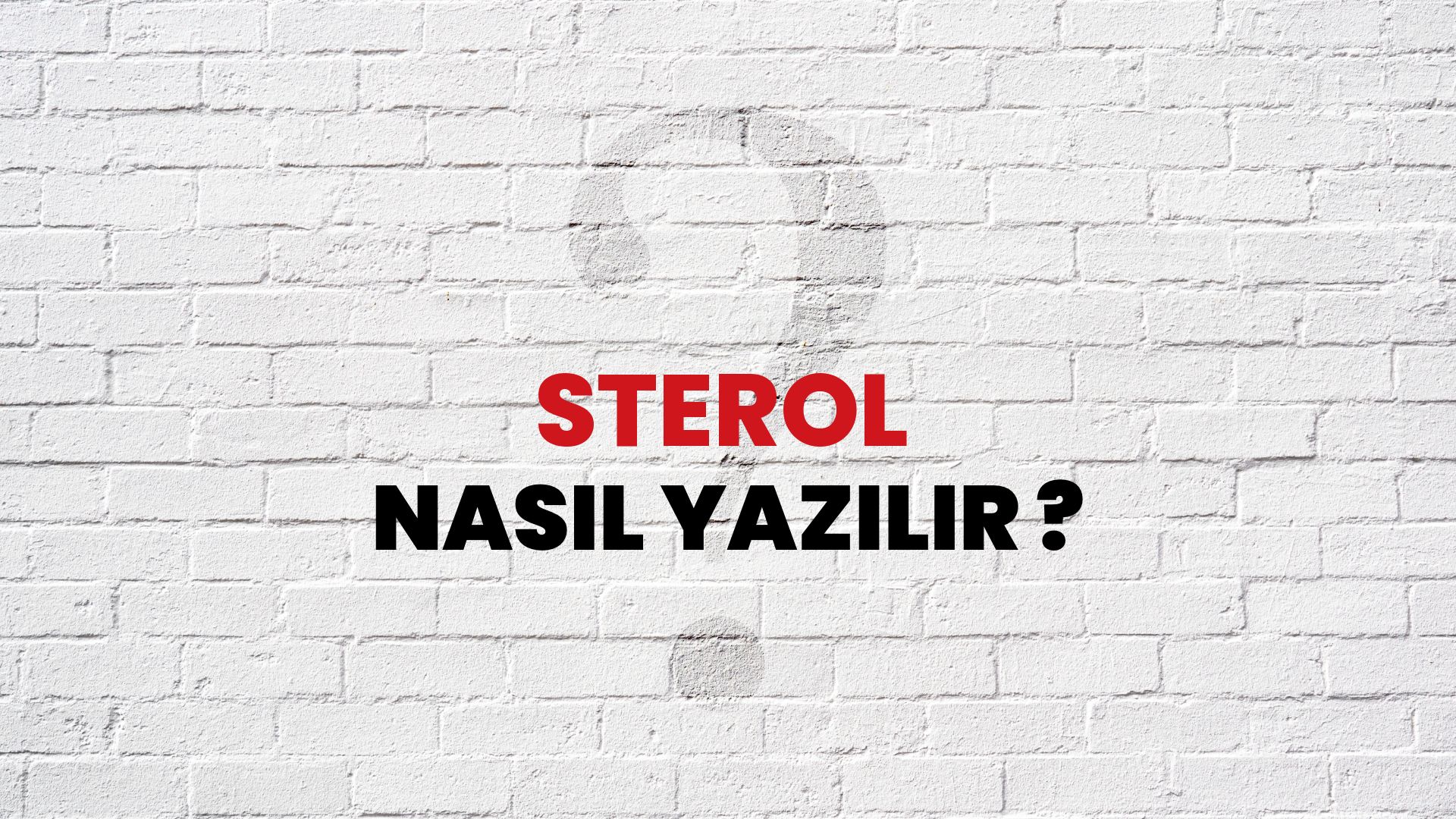 Sterol Nasıl Yazılır? TDK ile Sterol Doğru Yazılışı Nedir?