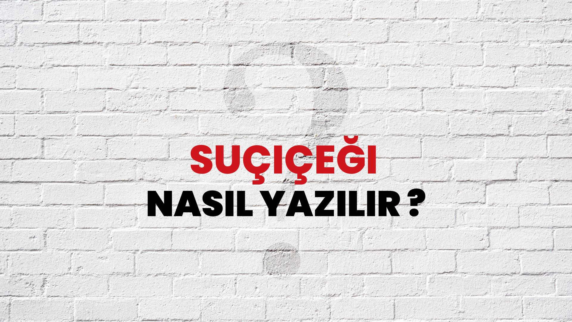 Suçiçeği Nasıl Yazılır? TDK ile Suçiçeği Doğru Yazılışı Nedir?