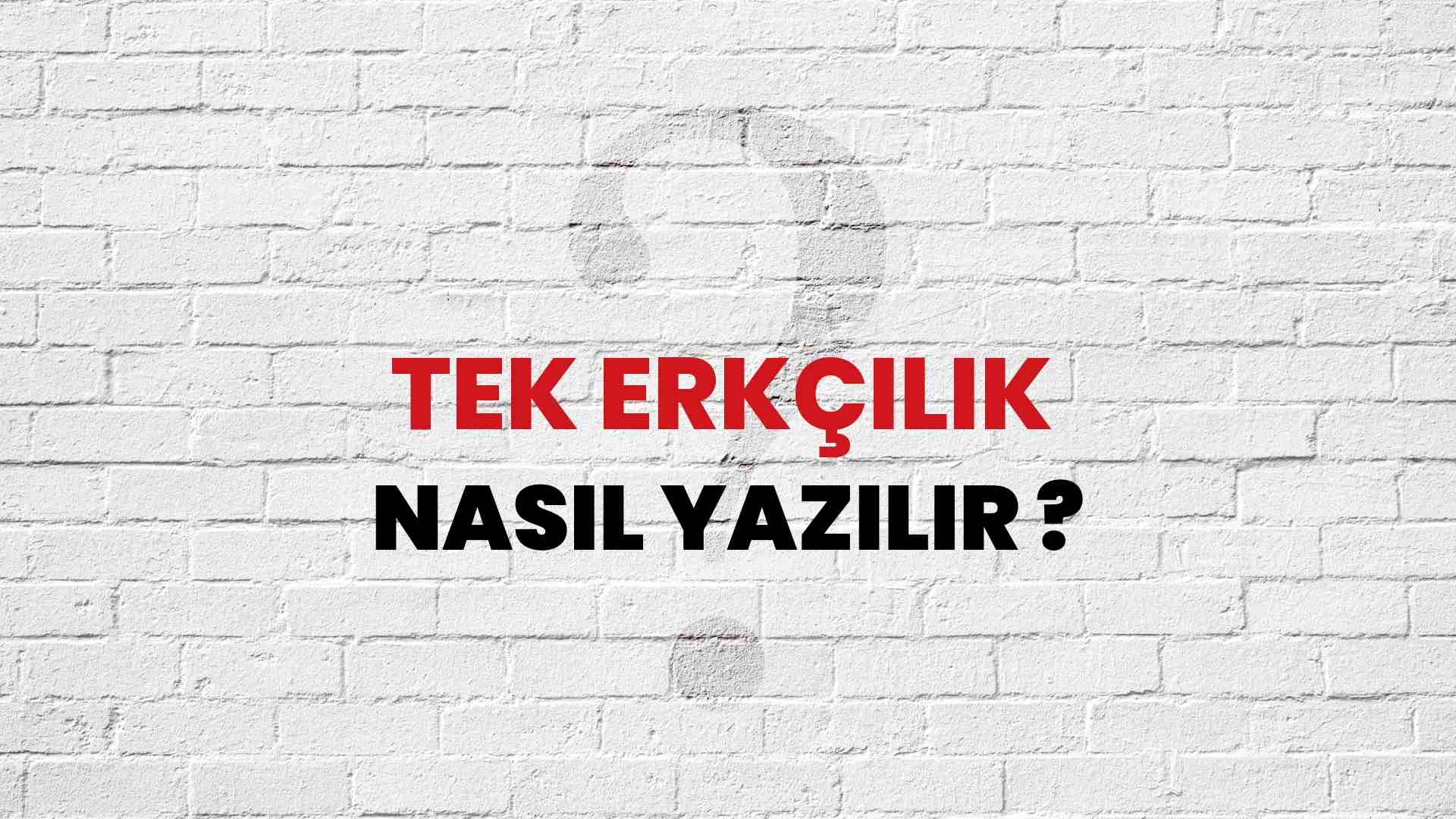 Tek Erkçilik Nasıl Yazılır? TDK ile Tek Erkçilik Doğru Yazılışı Nedir?