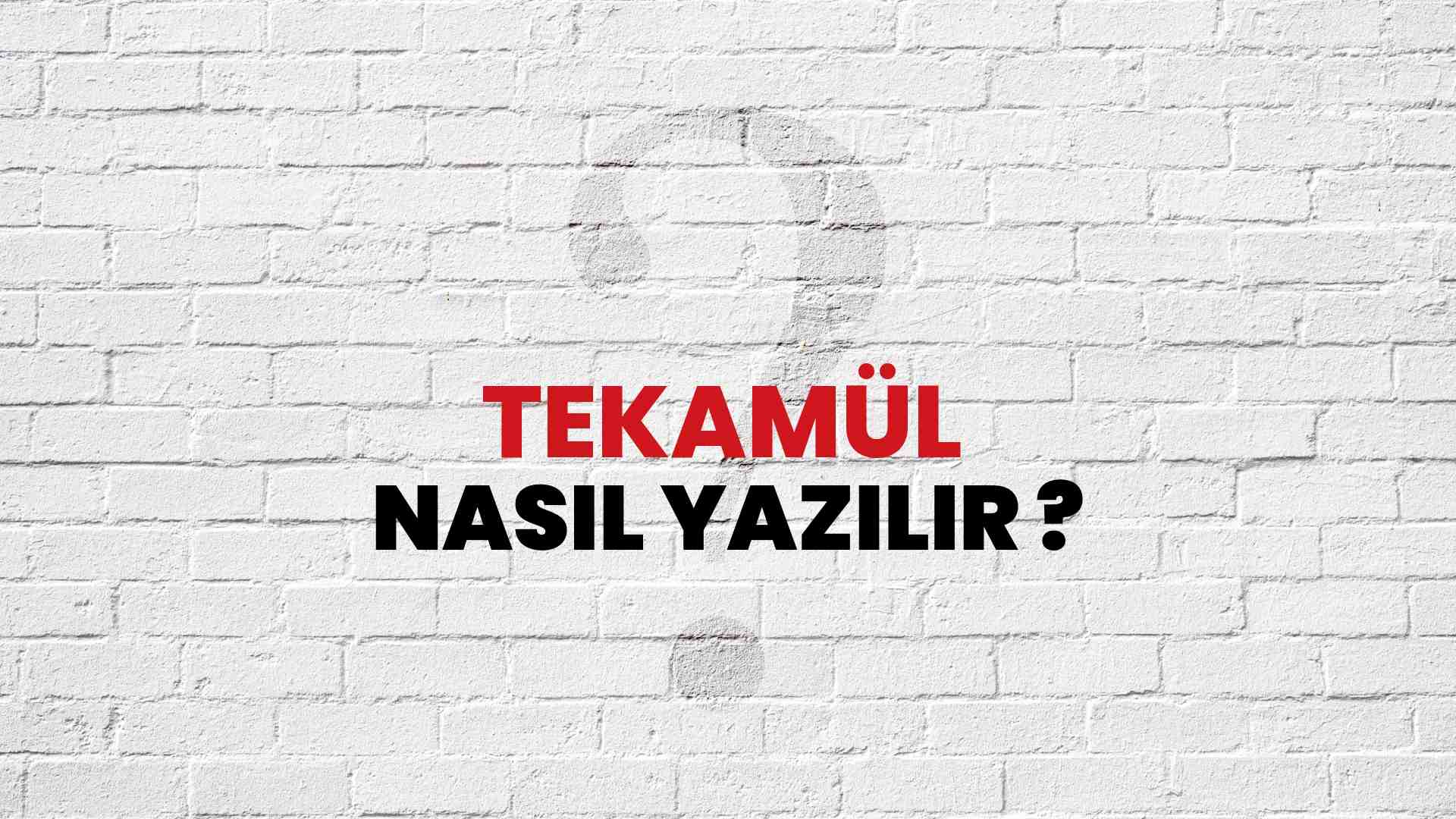 Tekamül Doğru Yazımı Nedir? TDK ile Tekamül Kelimesinin Doğru Yazılışı!