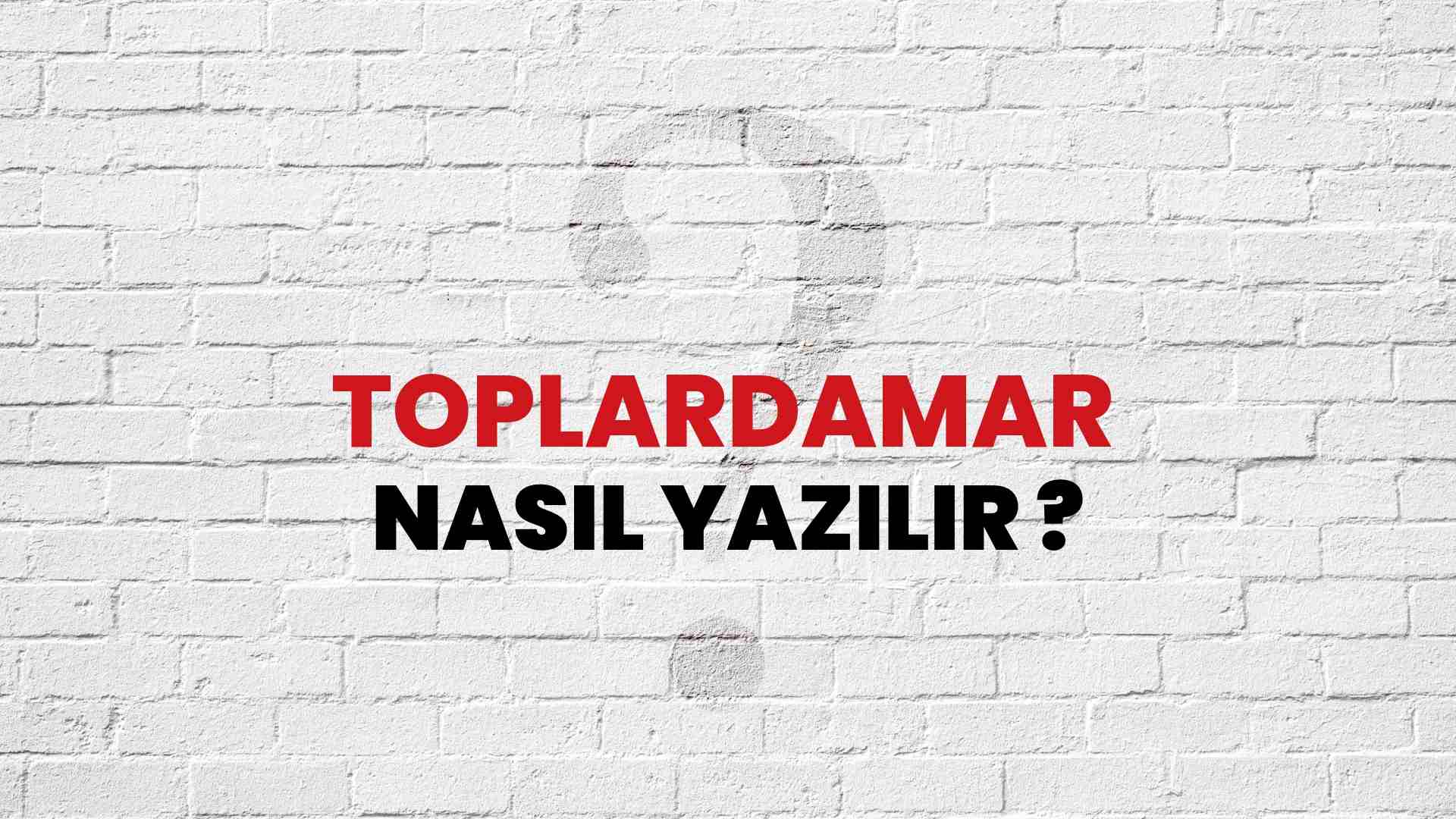 Toplardamar Doğru Yazımı Nedir? TDK ile Toplardamar Kelimesinin Doğru Yazılışı!