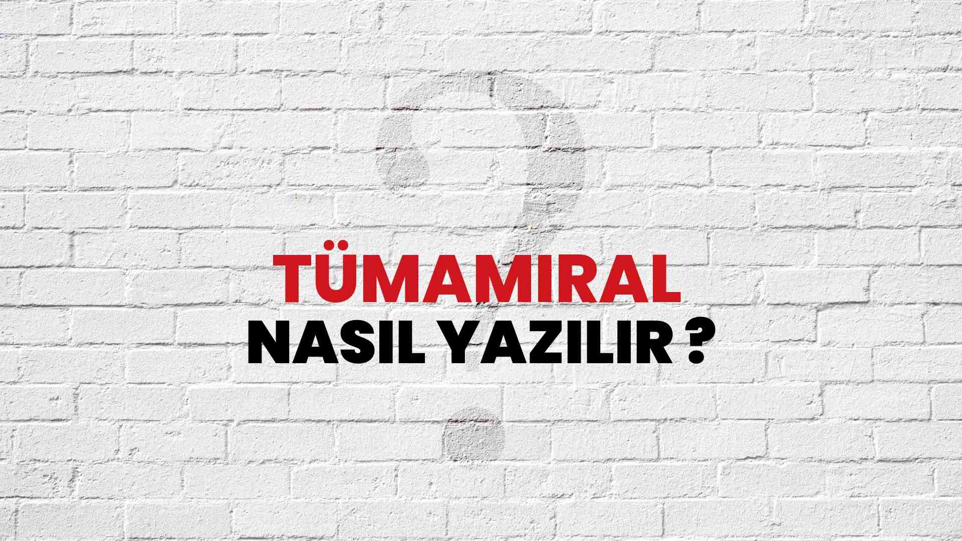 Tümamiral Nasıl Yazılır? TDK ile Tümamiral Doğru Yazılışı Nedir?