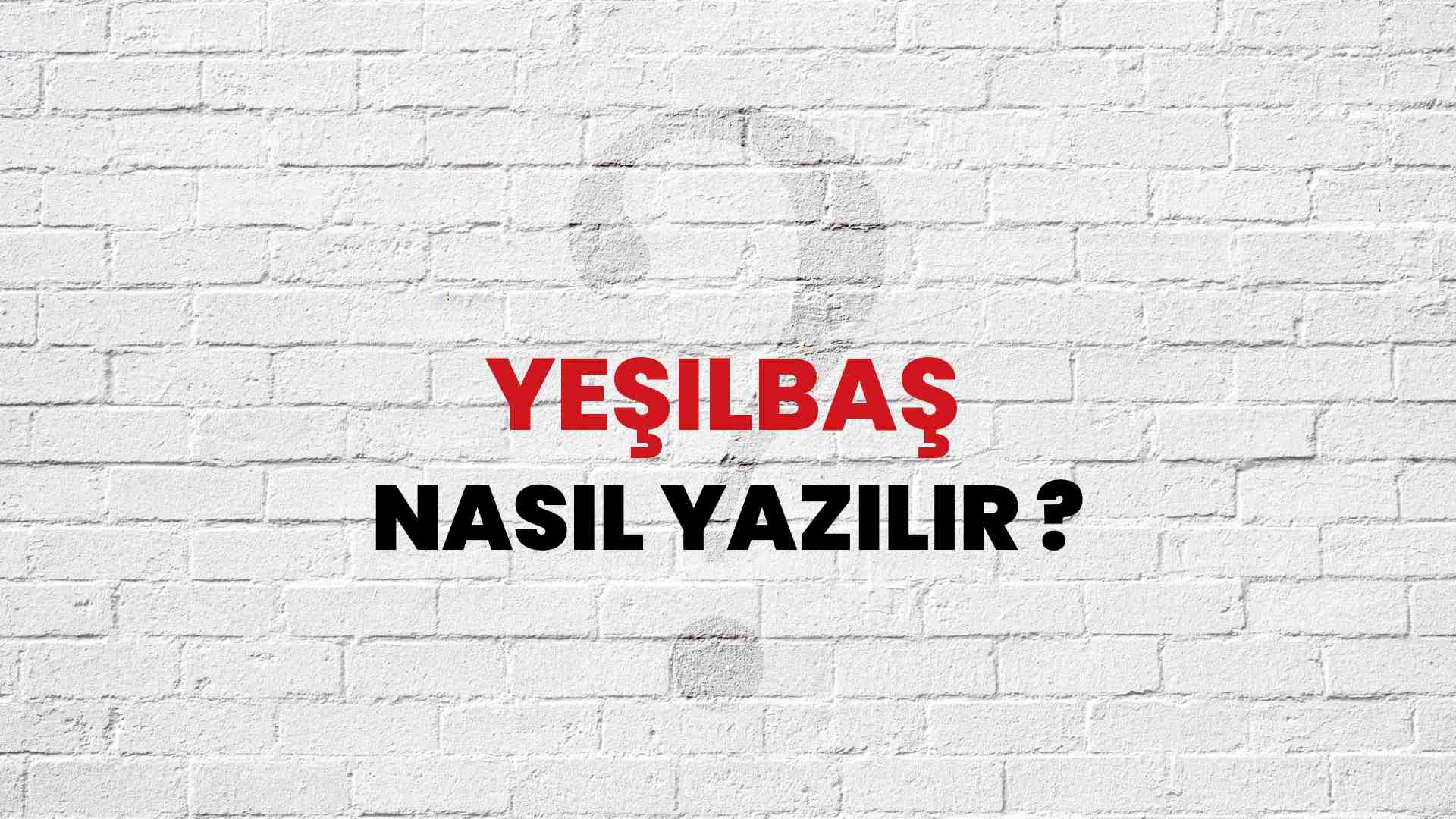 Yeşilbaş Nasıl Yazılır? TDK ile Yeşilbaş Doğru Yazılışı Nedir?