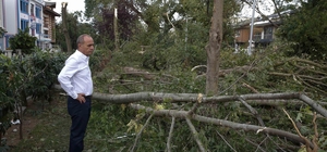 Kadıköy'de yüzlerce ağaç devrildi
