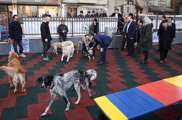 Beyoglu Nda Hayvanlar Icin Pati Park Acildi Istanbul Haberleri