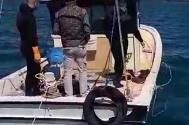Urla Da Deniz Patlicani Operasyonu Izmir Haberleri