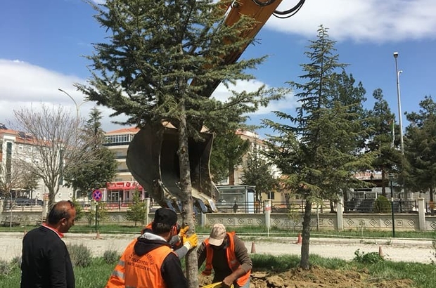 Refüjdeki ağaçlar hastane bahçesine naklediliyor - Antalya ...