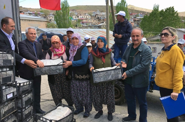 Kınalı eller çilek üretiyor adana büyükşehir belediyesi ...