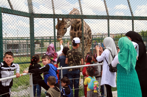 kayseri hayvanat bahcesi nde bayram yogunlugu kayseri haberleri