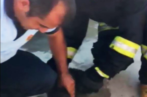 İtfaiyeciler kediyi masajla yaşama döndürdü muğla’nın menteşe ilçesinde