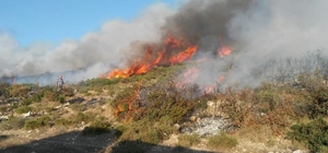 Didim’de 50 dekarlık makilik  kül oldu