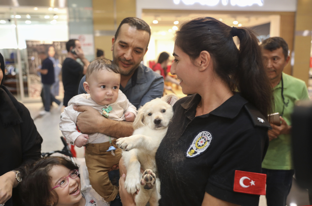 Köpek Eğitim Merkezi Ankara