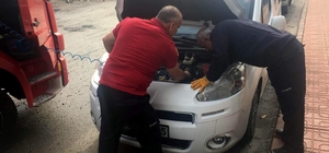 Siirt'te araç motoruna sıkışan kedi kurtarıldı