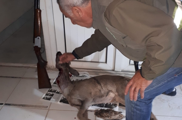 Karaca Avcilarina Ceza Yagdi Balikesir Haberleri