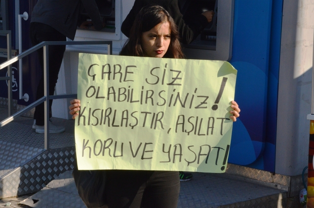 Hayvan Severler Sokak Hayvanlari Icin Bir Araya Geldi Kastamonu Haberleri