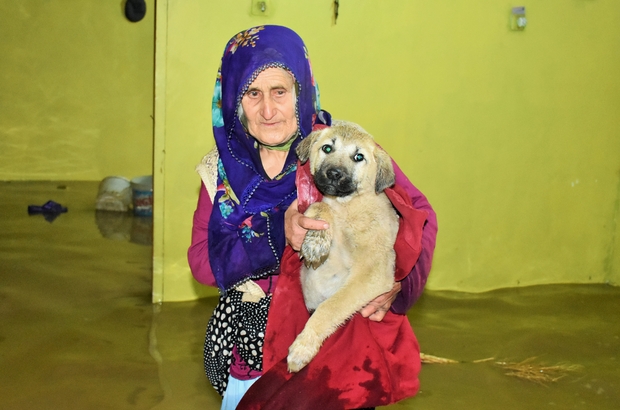Mus Ta Dere Tasti Koyu Su Basti Mus Haberleri