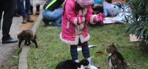 "6. Sokaktaki Kediler Şenliği"