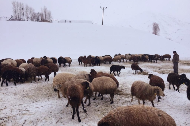 Dünyada Çikolatasıyla Ünlü 10 Şehir 23