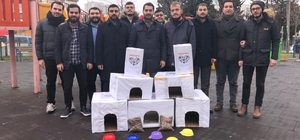 AK Partili gençler kedi evi dağıttı