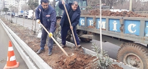 Belediyeden refüj çalışması