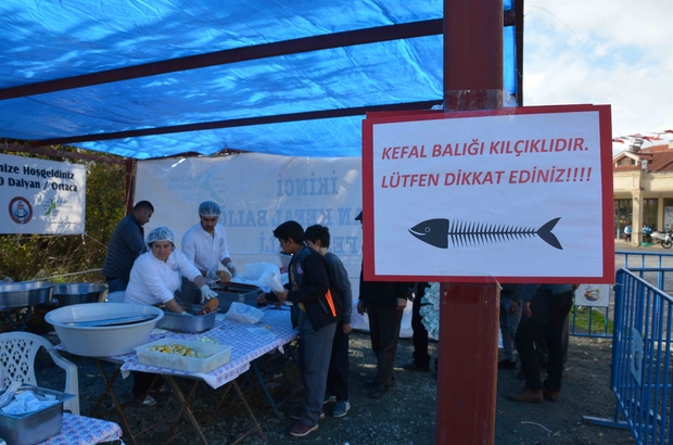 Dalyan Kefal Baligi Festivali Ile Cosacak Mugla Haberleri