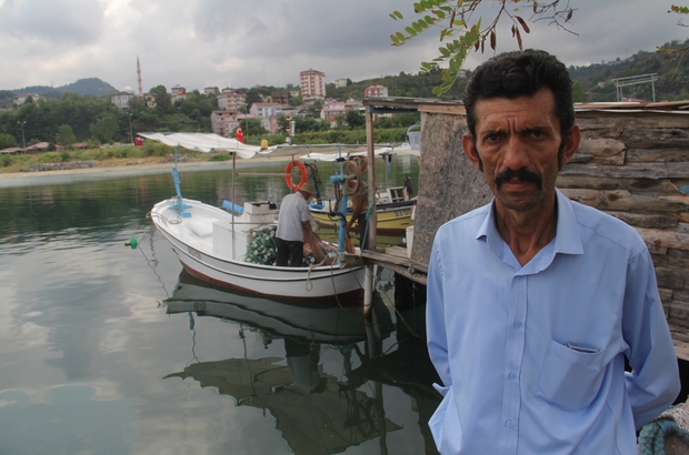 Giresun Piraziz Su Urunleri Kooperatifi Baskani Hamdi Arslan Bu Sezon Palamut Olmasa Bircok Balikcimiz Zor Durumda Kalirdi Giresun Haberleri