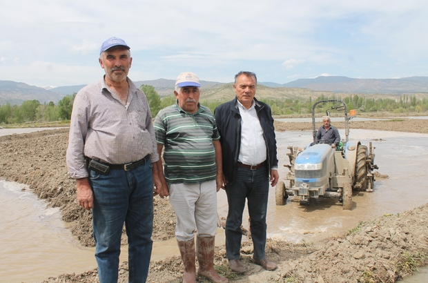 Tosya pirincinin ekim hazırlıkları başladı Kastamonu Haberleri