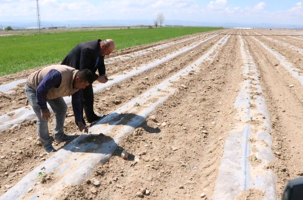 Niğde�de dolu meyve ağaçları ve ekili alanları vurdu Niğde Haberleri