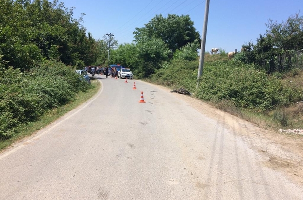 Kuzenleri Kaza Ayirdi Sakarya Da Meydana Gelen Trafik Kazasinda 2 Kuzen Hayatini Kaybetti Sakarya Haberleri