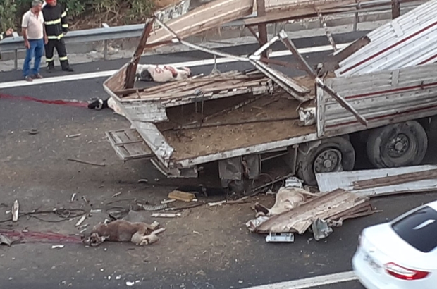 Kurbanlik Yuklu Tir Kaza Yapti 3 Kisi Yaralandi Cok Sayida Hayvan Telef Oldu Gaziantep Haberleri