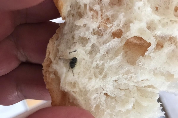 Marketten aldığı ekmeğin içinden sinek çıktı