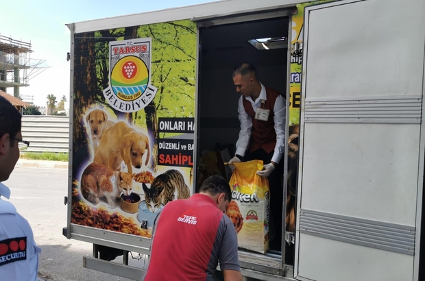 Tarsus Ta Sokak Hayvanlari Icin 500 Kilo Mama Toplandi Mersin Haberleri