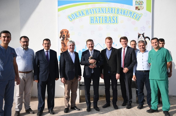 Can Dostlarimiz Guvende Otel Konforunda Barinak Balikesir Haberleri