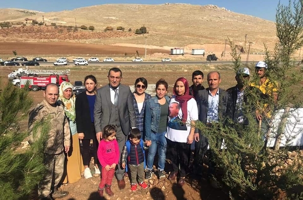 Mazidagi Nda 43 Bin 123 Fidan Toprakla Bulustu Mardin Haberleri
