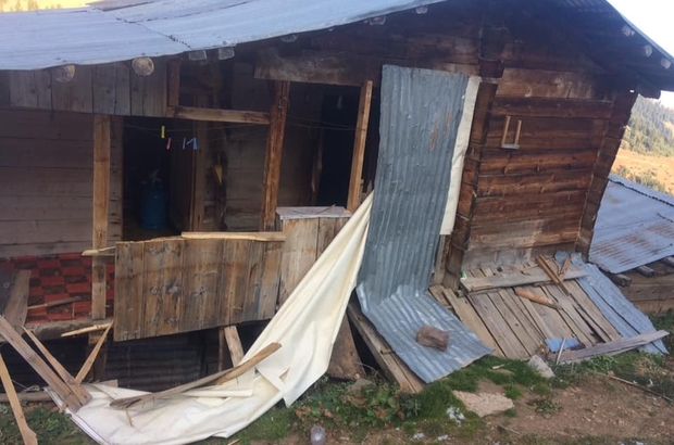 Artvin’de yayla evlerine ayı baskını şavşat�ta aç kalan ayılar yayla