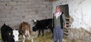 Engelleri aşarak kendi işinin patronu oldu