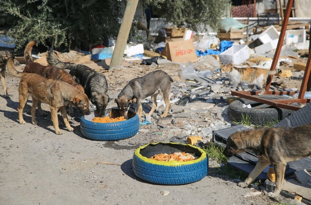 Buca Da Mama Kabi Seferberligi Izmir Haberleri