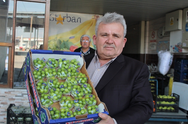 Turfanda Erik Cep Yakiyor Seradan Arili Yesil Erigin Kilosu 750 Liradan Satisa Cikti 519 Liralik Ceyrek