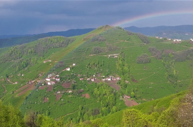 ordu haberleri