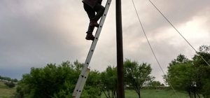 Yıkılan leylek yuvası için seferber oldular