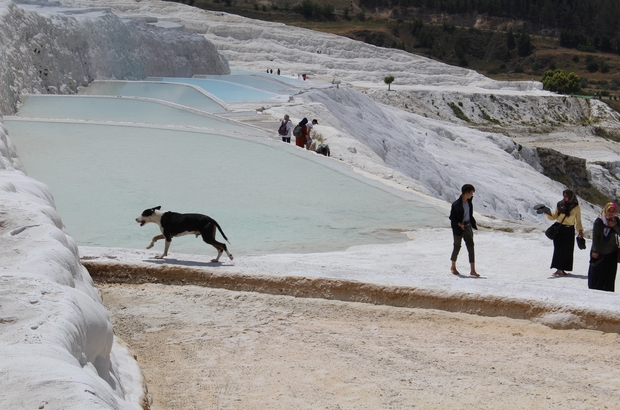 Pamukkale Denizli Wikipedia