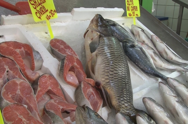 Toptan Balik Alicilari Kapali Olunca Balik Cesitliligi Vatandasa Kaldi Esnaf Ferhat Tak Vatandasa Elimizden Geldigince Yardimci Oluyoruz Su Anda Asiri Balik Var Fiyatlarda Cok Indi Denizli Haberleri