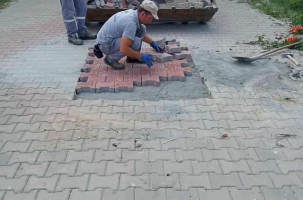 Agac Yapragiyla Tas Yol Yapimi Bahce Yolu Nasil Yapilir Bahceye Tas Yol Yapmak Agac Yapragi Ile Yol Garden Crafts Diy Garden Ideas Diy Cheap Cheap Backyard