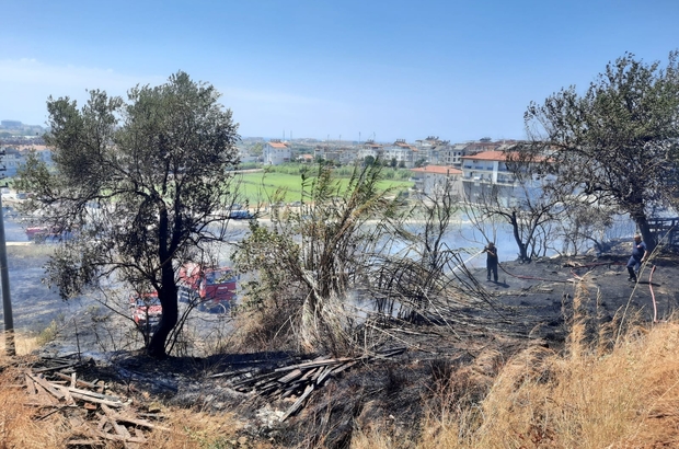Manavgat Ilica Da Korkutan Orman Yangini Ruzgarin Etkisiyle Evlere Yaklasan Yangin Zamaninda Mudahale Ile Kontrol Altina Alindi Antalya Haberleri