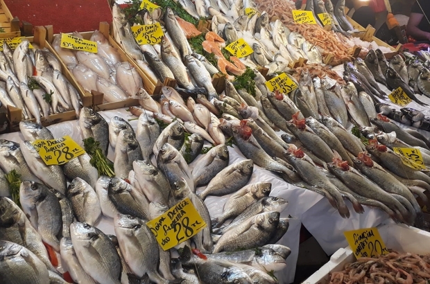 Balik Sezonu Acildi Fiyatlardaki Dusus Tatmin Etmedi Izmir Haberleri