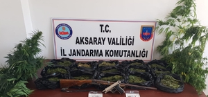 Kenevir ve esrar satıcılarına jandarma darbesi