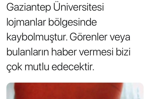 Gaun Rektoru Gur Kedileri Seftali Yi Ariyor Gaziantep Haberleri