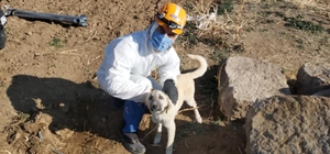 Su kuyusunda mahsur kalan köpek kurtarıldı