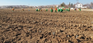 Konya'da tıbbi aromatik bitki yetişecek