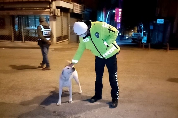 Polisin Kopege Sefkati Yurekleri Isitti Tekirdag Haberleri